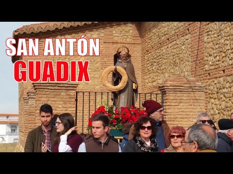 Ambiente en la era de SAN ANTÓN de Guadix 🐖