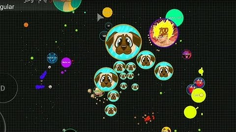 Blob Duo Macro with NICOLAs🥺︎︎