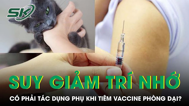 Tiêm phòng dại ảnh hưởng như thế nào năm 2024