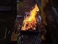 #мангал #шашлык #мясо #тренды #рекомендации #россия