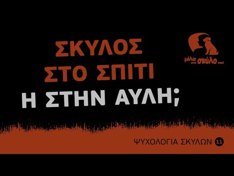 Βίντεο: Ένας σκύλος σηματοδοτεί στο σπίτι: πώς να απογαλακτιστεί