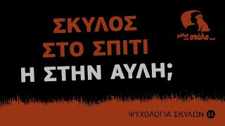 ΨΥΧΟΛΟΓΙΑ ΣΚΥΛΩΝ #11 - Σκύλος στο σπίτι ή στην αυλή; (Πού να τον έχω;) - ΜΙΛΑ ΣΤΟ ΣΚΥΛΟ ΣΟΥ by Μίλα στο Σκύλο σου by Ilias Raymondis 6,104 views 3 years ago 6 minutes, 42 seconds