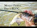 Fly Fishing Largemouth Bass - Lake Picachos. May 2021