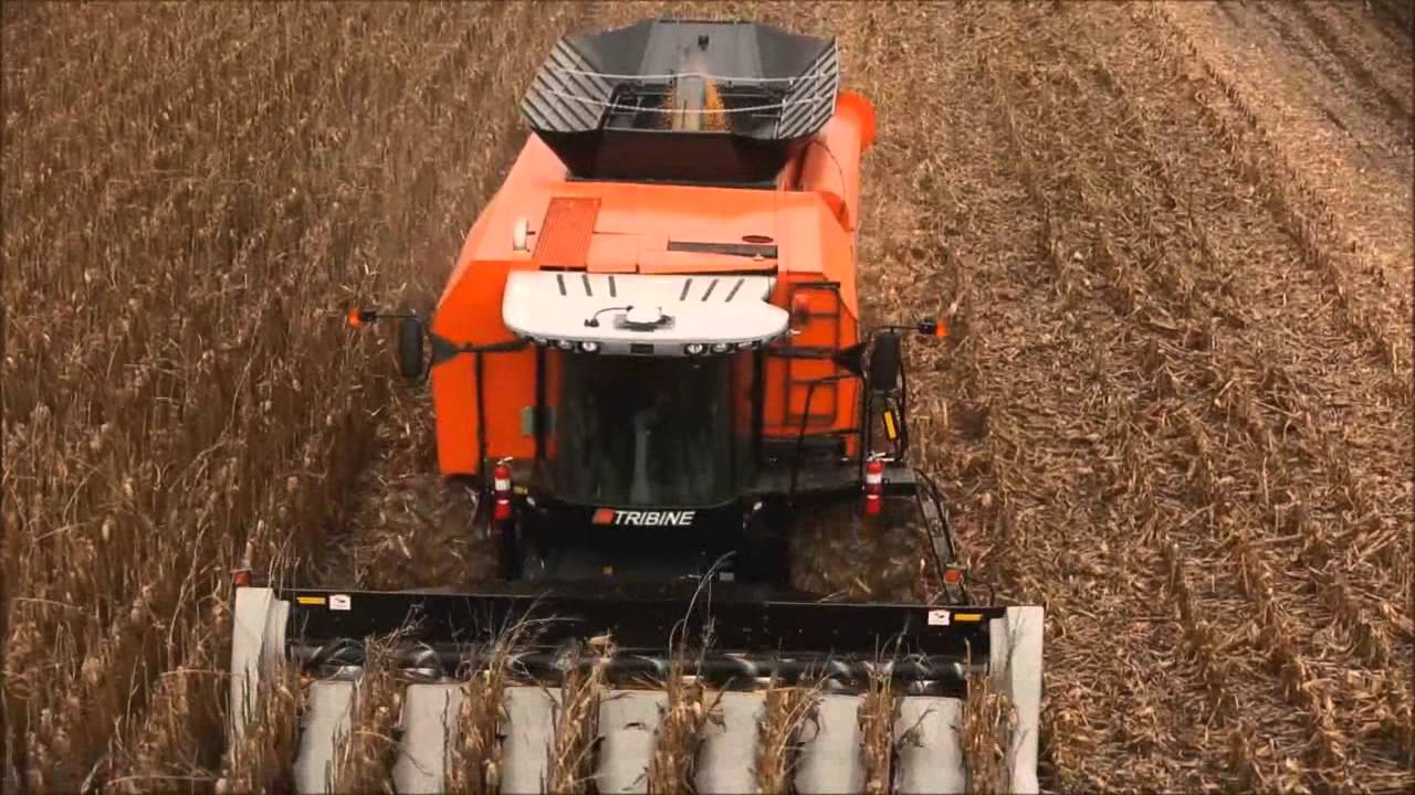 Tribine Combine In De Korrelmais Trekkerweb Youtube