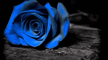 Over You   Chris Daughtry Lyrics