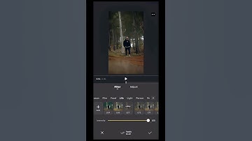 VN Mirror Transition Tutorial 🎥 | Smooth & Aesthetic Editing Hack