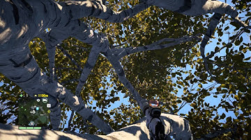 Far Cry 4 Tree Physics Bug