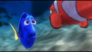 Finding Nemo You Mean You Dont Like Me?