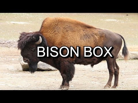 Bison Box
