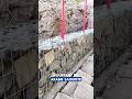 Le mur en gabion, solution efficace et écologique. #btp #construction #chantier #renovation
