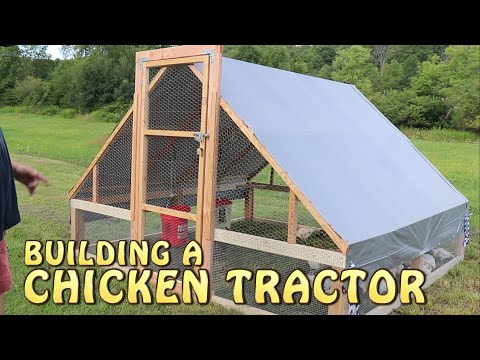 वीडियो: 50 मुर्गियों के लिए स्वयं करें चिकन कॉप: ड्राइंग, उपकरण, उपकरण
