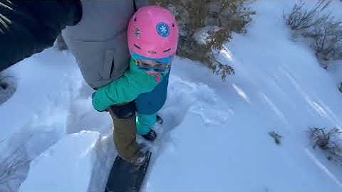 Father-Daughter Duo Shares Snowboard While Snowboarding Together - 1173781