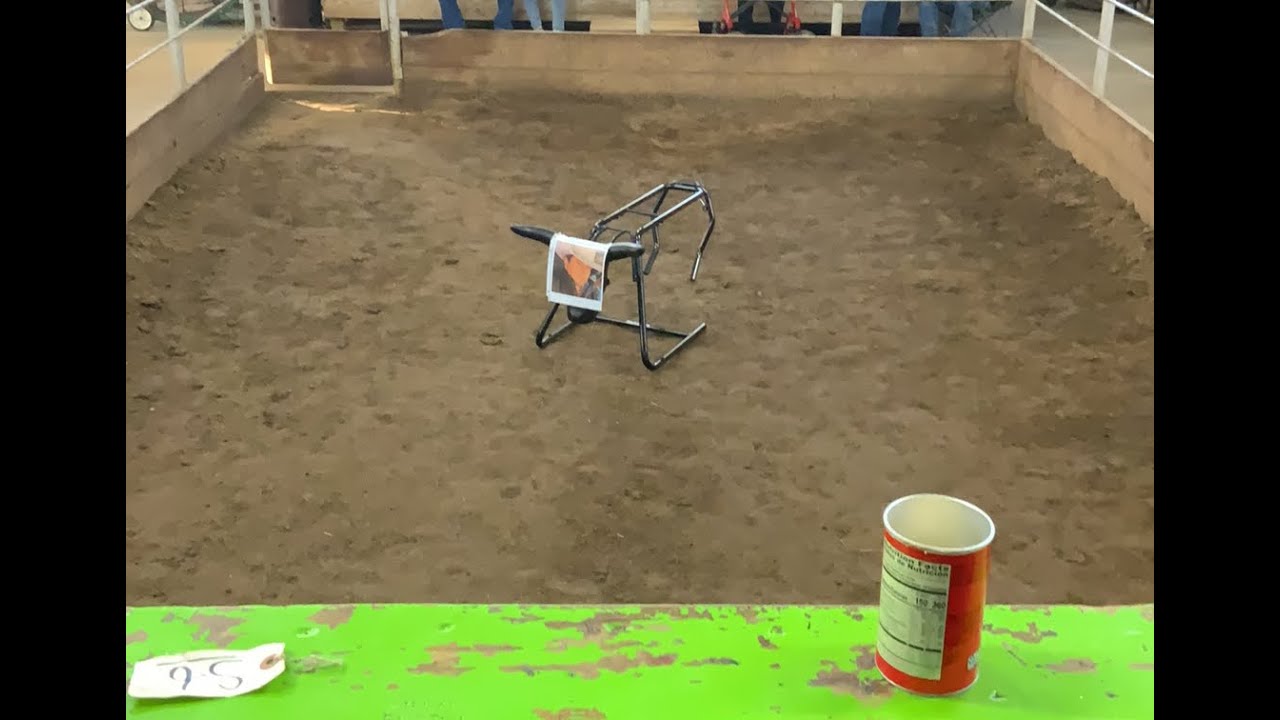 Elkhart Horse Auctions is going live! MAY 20,2023 YouTube