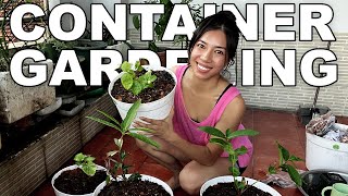 How I Prepared Soil For Container Gardening In Tropical Vietnam by Wendi Phan 1,471 views 4 months ago 10 minutes, 56 seconds