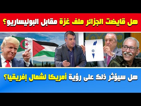 هل قايضت الجزائر ملف غزة مقابل البوليساريو هل سينجح العسكر في التأثير على رؤية ترامب لشمال إفريقيا