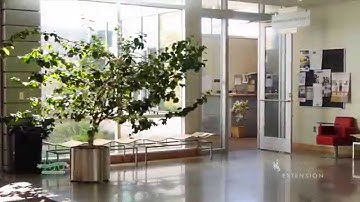 Our Built Environment | Green Buildings