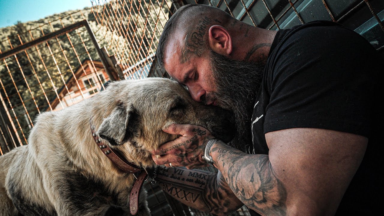 Wir haben einen Kangal von der Kette befreit!