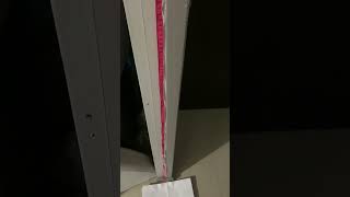 IMG 7410