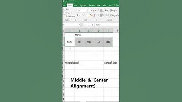 Master Excel Alignment, Wrap Text, Merge Cells & Orientation in less than 2 Minutes!