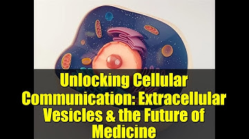 Unlocking Cellular Communication: Extracellular Vesicles & the Future of Medicine