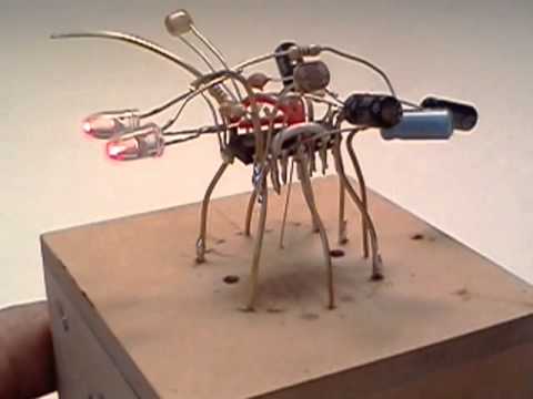 Bad Ass Cricket 1