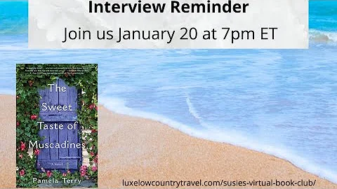 Virtual Book Club Meeting with author Pamela Terry