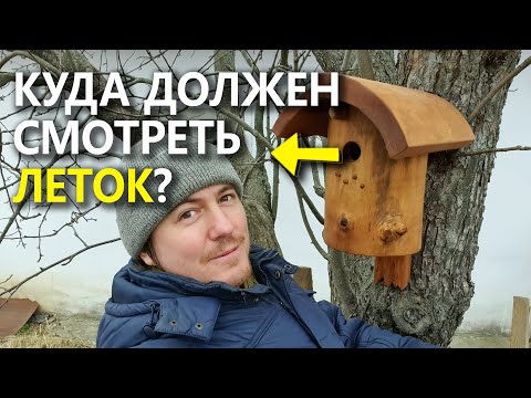 В какую сторону ориентировать леток скворечника? Нужна ли присада?