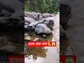 Gaon Village Nature Beautiful Life #nature #viralshorts #viral #snake