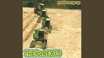 When the World Is Running Down You Make the Best of What