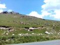 Горы в овцах или овцы в горах. Кыргызстан. Отмок.