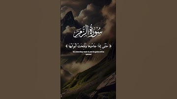 سورة الزمر || وَسِيقَ الَّذِينَ اتَّقَوْا رَبَّهُمْ إِلَى الْجَنَّةِ زُمَرًا ۖ