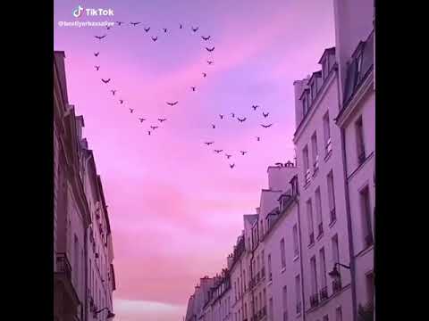 نسيم البحر