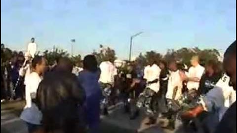 ▶ Phi Beta Sigma Strolling After Probate