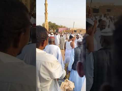 عمر الحواري السودان اكسبلور دلوكه الامارات لايك قطر شندي دار جعل دبي سودانيز فولو