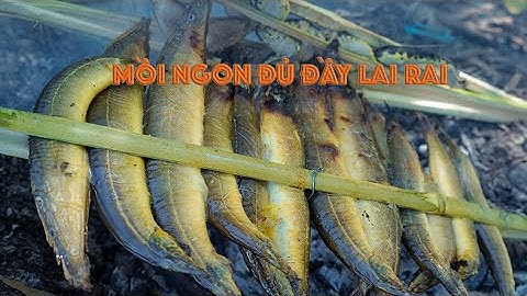 Cuộc sống săn bắt trên sông khi con nước rút 2024 - Tập 3 | Gấc Quê