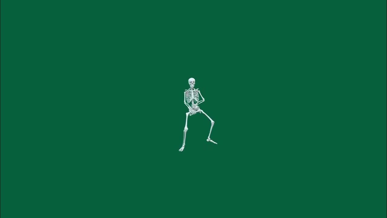 Skeleton PC live wallpapers HD FREE DOWNOLAD loop animation - YouTube