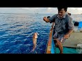 Back to Back Rosy Snapper Caught in the Deep Sea