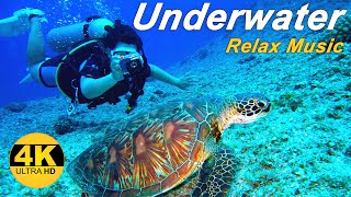 ?UHD 4K Ocean Video ? Tranquil Underwater Music for Relaxation