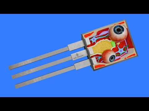 How a Transistor works
