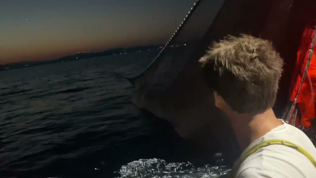 LOV NA PLAVU RIBU , TRIBUNJ.