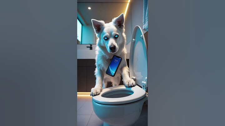 "Blue Eyed Dog DROPS the Phone in Toilet 😱"