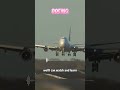 Birds welcome home my king#aviation #plane #pilot #aircraft #ai