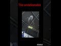 #viral#shorts#saitama