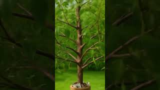 How Compounding Grows Your Money Part 1 #smartmoney #finances #smartinvesting #wealthy