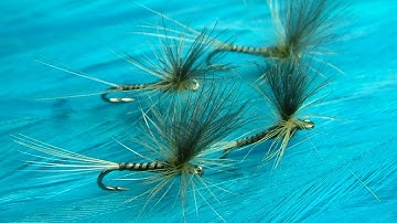 Tying a Small Olive Dun (Parachute Style) by Davie McPhail.