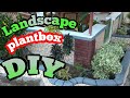 DIY Plant Box/ Mini Landscape