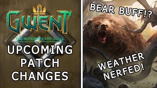 Gwent | Upcoming Patch Changes | Bear Buffed!? Weather Nerfed!