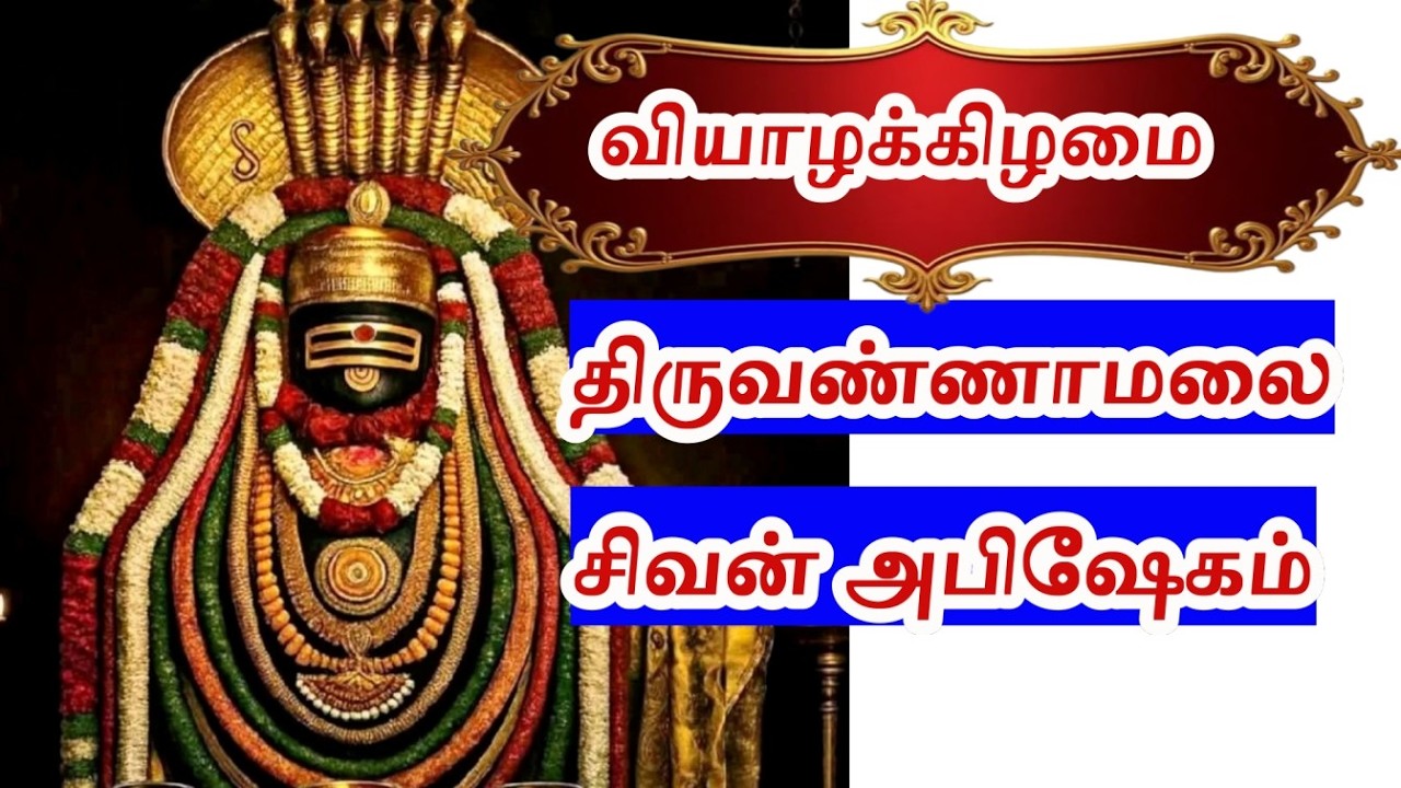 🔴LIVE இன்று திருவண்ணாமலை சிவன் மஹா அபிஷேக காட்சி பாருங்க! | Sivan Abhishekam
