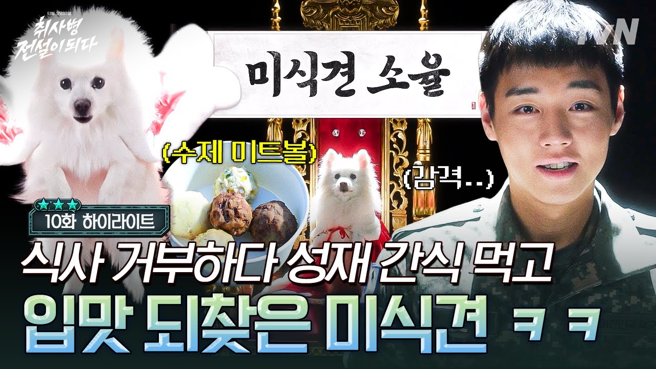 [#취사병전설이되다 10화] 성재 간식 소율이 뱃속에 저~장🐶 미식견 입맛 제대로 저격한 강(아지)성재🤩