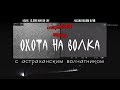 Охота на волка с астраханским волчатником. Специальная версия с прицелом DEDAL T2.389 HUNTER LRF